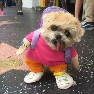 ɳ������ר��ͷ��