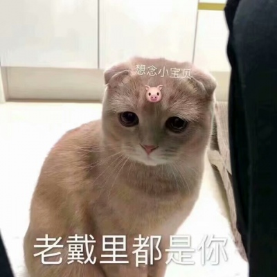 ɳ������ר��ͷ��