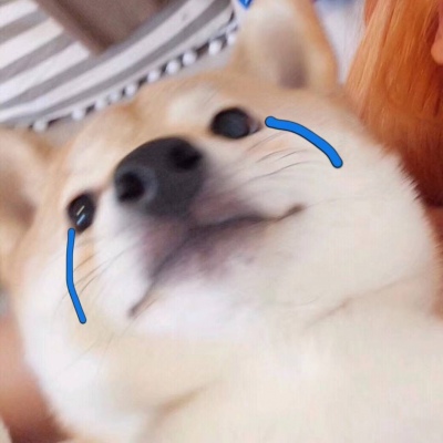 ɳ������ר��ͷ��