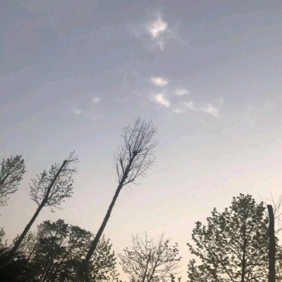 ����/���±���/���Կ�η ������