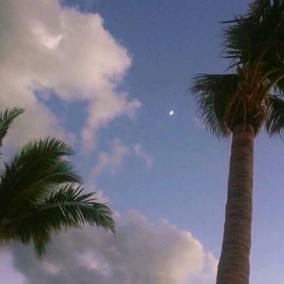 ����/���±���/���Կ�η ������