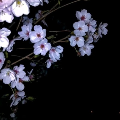 ����/���±���/���Կ�η ������