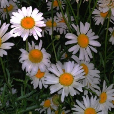 ����/���±���/���Կ�η ������