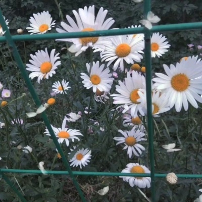 ����/���±���/���Կ�η ������