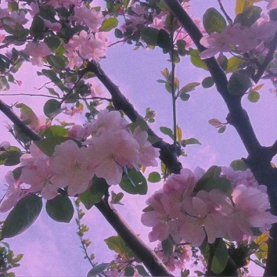 ����/Ψ������/���õĶ�������ֵ�õȴ�