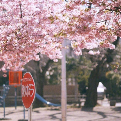 ĭ��/����/ӣ����/�ƻ�/���ֵĺ�