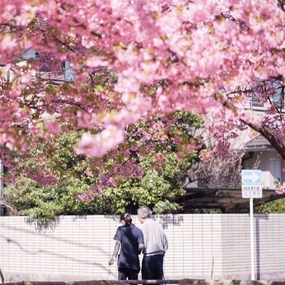 ĭ��/����/ӣ����/�ƻ�/���ֵĺ�