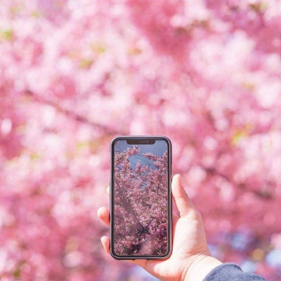 ĭ��/����/ӣ����/�ƻ�/���ֵĺ�