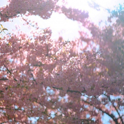 ĭ��/����/ӣ����/�ƻ�/���ֵĺ�