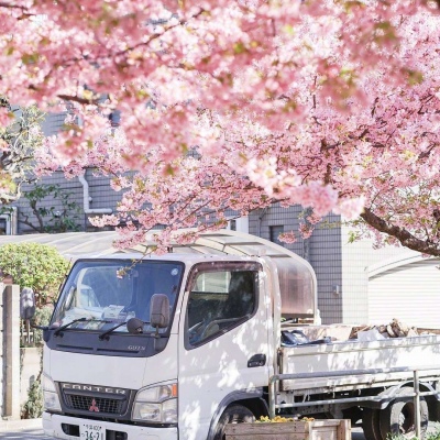 ĭ��/����/ӣ����/�ƻ�/���ֵĺ�