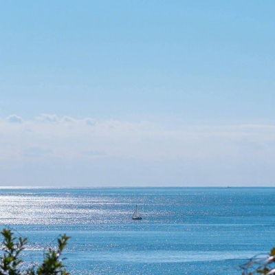 ĭ��/����/ӣ����/�ƻ�/���ֵĺ�