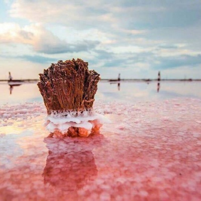 ���˺���
  ����ʶ��ʱ����á� ????