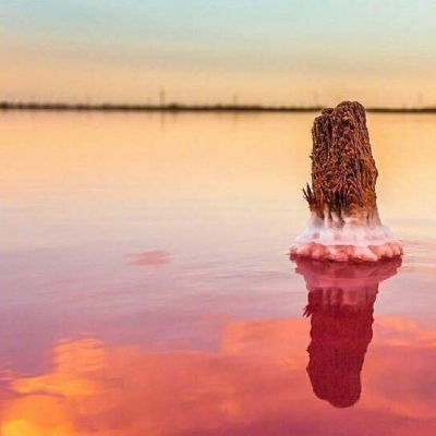 ���˺���
  ����ʶ��ʱ����á� ????