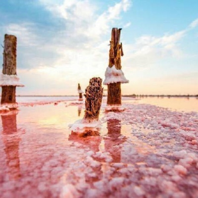 ���˺���
  ����ʶ��ʱ����á� ????