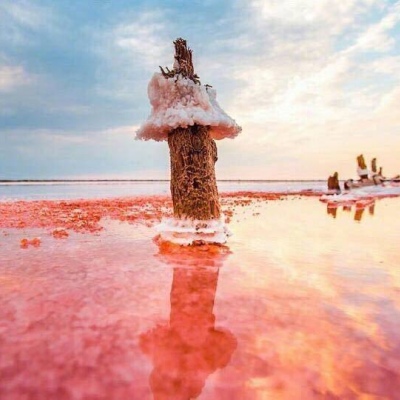 ���˺���
  ����ʶ��ʱ����á� ????