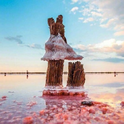 ���˺���
  ����ʶ��ʱ����á� ????