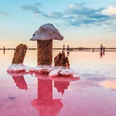 ���˺���
  ����ʶ��ʱ����á� ????