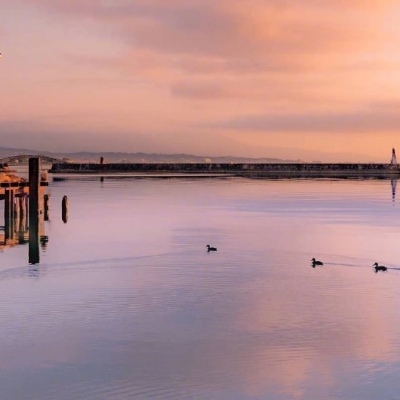 ĭ��/�ܻ����漣����