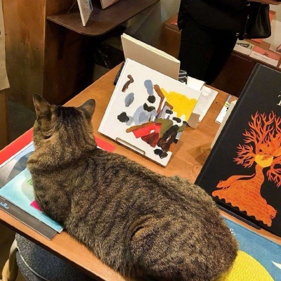 ĭ��/��������ʽ��/��ݮ/���