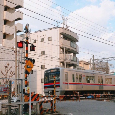 ĭ��/�ձ�ǧҶ�� �޺��ҹ�� ������ ���ٺ�