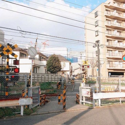 ĭ��/�ձ�ǧҶ�� �޺��ҹ�� ������ ���ٺ�