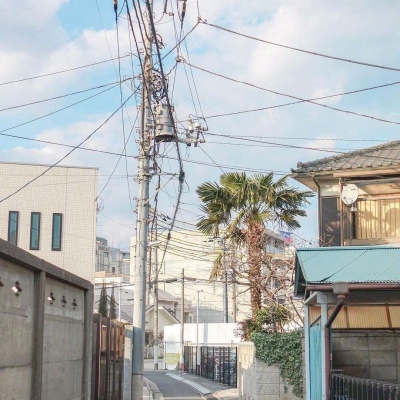 ĭ��/�ձ�ǧҶ�� �޺��ҹ�� ������ ���ٺ�