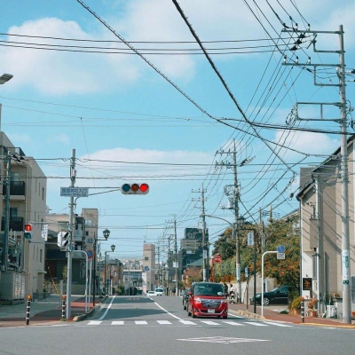 ĭ��/�ձ�ǧҶ�� �޺��ҹ�� ������ ���ٺ�