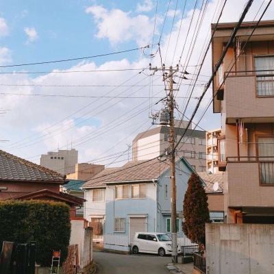 ĭ��/�ձ�ǧҶ�� �޺��ҹ�� ������ ���ٺ�