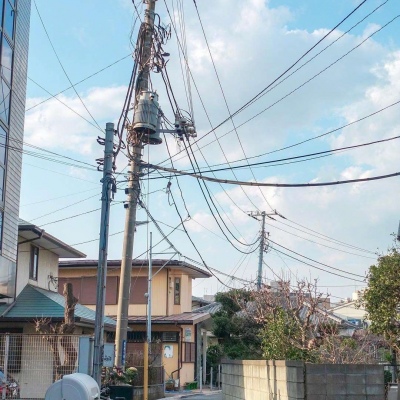 ĭ��/�ձ�ǧҶ�� �޺��ҹ�� ������ ���ٺ�