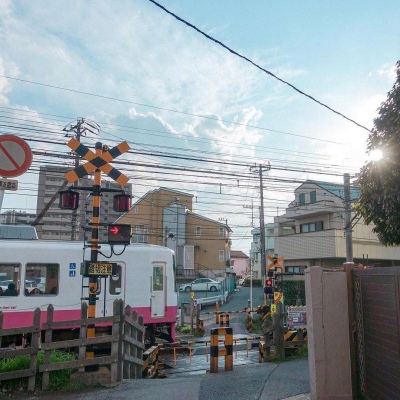 ĭ��/�ձ�ǧҶ�� �޺��ҹ�� ������ ���ٺ�