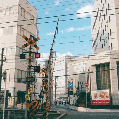 ĭ��/�ձ�ǧҶ�� �޺��ҹ�� ������ ���ٺ�