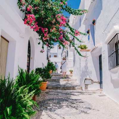 ĭ��/�ձ�ǧҶ�� �޺��ҹ�� ������ ���ٺ�