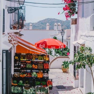 ĭ��/�ձ�ǧҶ�� �޺��ҹ�� ������ ���ٺ�