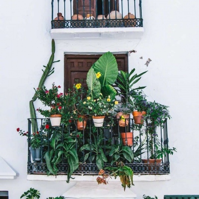 ĭ��/�ձ�ǧҶ�� �޺��ҹ�� ������ ���ٺ�