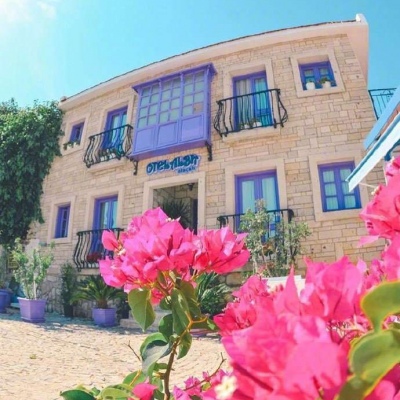 ĭ��/�ձ�ǧҶ�� �޺��ҹ�� ������ ���ٺ�