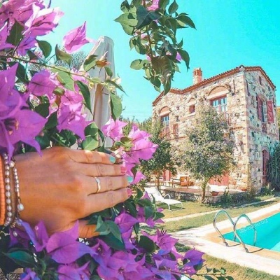 ĭ��/�ձ�ǧҶ�� �޺��ҹ�� ������ ���ٺ�