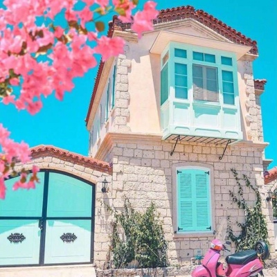 ĭ��/�ձ�ǧҶ�� �޺��ҹ�� ������ ���ٺ�