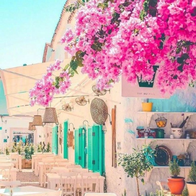 ĭ��/�ձ�ǧҶ�� �޺��ҹ�� ������ ���ٺ�