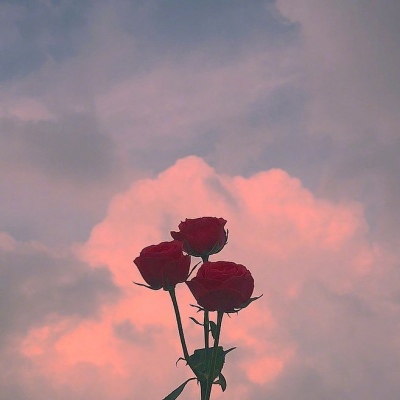 ���������ʻ�΢��ͷ��