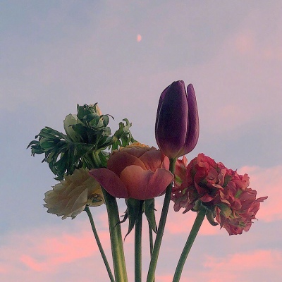 ���������ʻ�΢��ͷ��