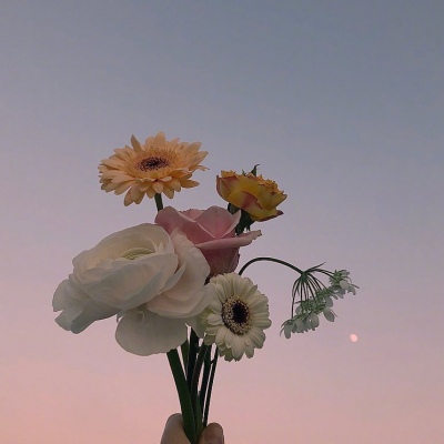 ���������ʻ�΢��ͷ��