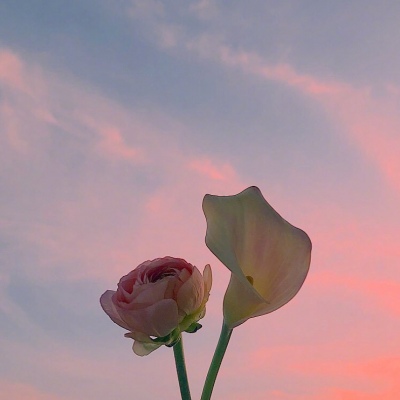 ���������ʻ�΢��ͷ��