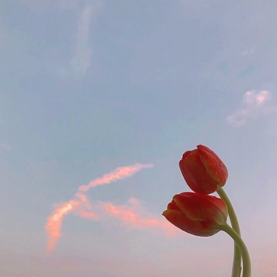 ���������ʻ�΢��ͷ��