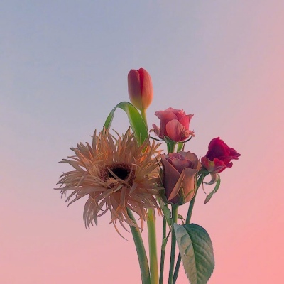 ���������ʻ�΢��ͷ��