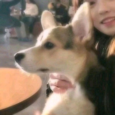 �ɰ�/��ͷ/�㻹ϲ�����