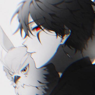 �����������۶�����ͷ/����/����ϵ��