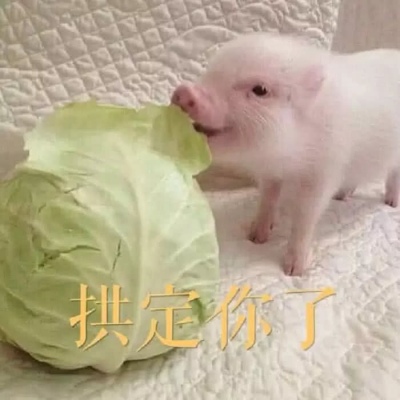 Ҷӣ/���� һ���ɳ��