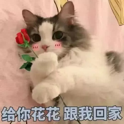 Ҷӣ/���� һ���ɳ��