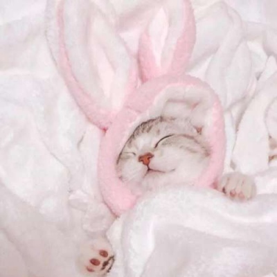 ����:��ͷ/������ҹ·�� ����û�������