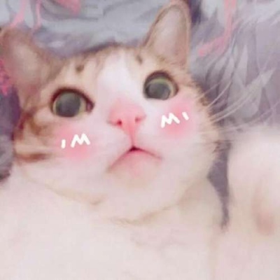 ����:��ͷ/������ҹ·�� ����û�������